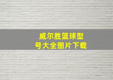 威尔胜篮球型号大全图片下载