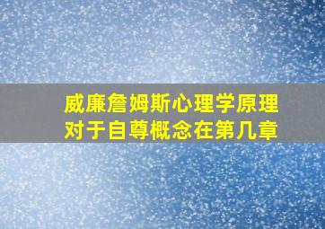 威廉詹姆斯心理学原理对于自尊概念在第几章