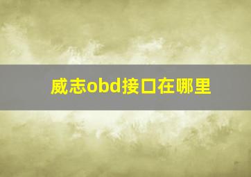 威志obd接口在哪里