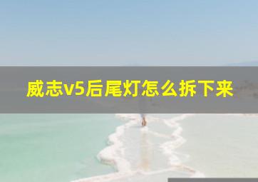 威志v5后尾灯怎么拆下来