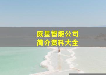 威星智能公司简介资料大全