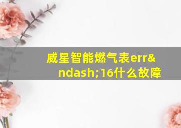 威星智能燃气表err–16什么故障