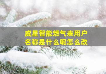 威星智能燃气表用户名称是什么呢怎么改