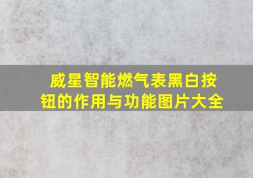 威星智能燃气表黑白按钮的作用与功能图片大全