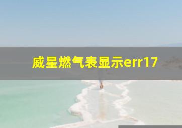 威星燃气表显示err17