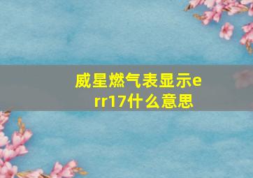 威星燃气表显示err17什么意思