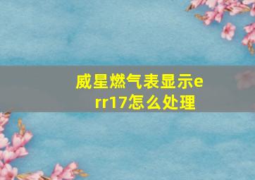 威星燃气表显示err17怎么处理