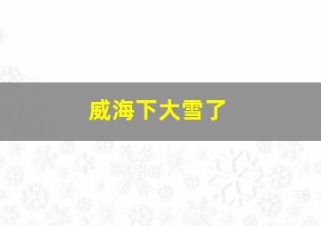 威海下大雪了