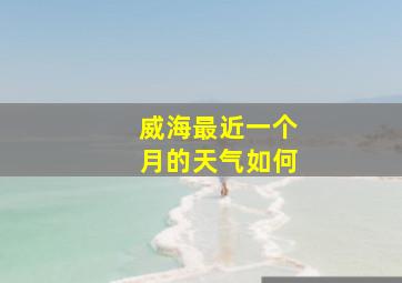 威海最近一个月的天气如何