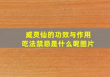 威灵仙的功效与作用吃法禁忌是什么呢图片