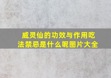 威灵仙的功效与作用吃法禁忌是什么呢图片大全