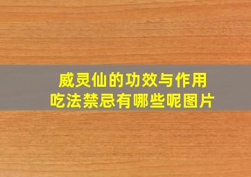 威灵仙的功效与作用吃法禁忌有哪些呢图片