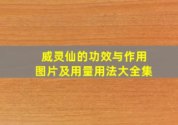 威灵仙的功效与作用图片及用量用法大全集