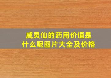 威灵仙的药用价值是什么呢图片大全及价格