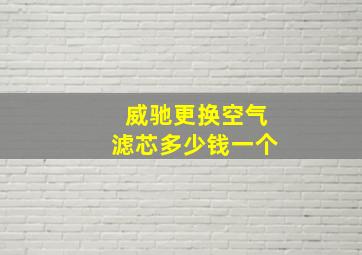 威驰更换空气滤芯多少钱一个