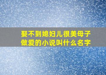 娶不到媳妇儿很美母子做爱的小说叫什么名字