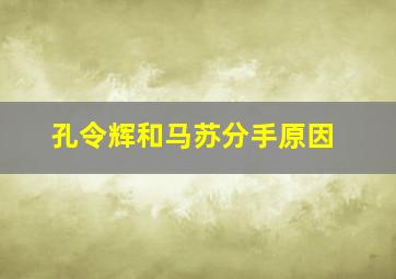 孔令辉和马苏分手原因