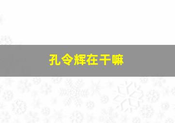 孔令辉在干嘛