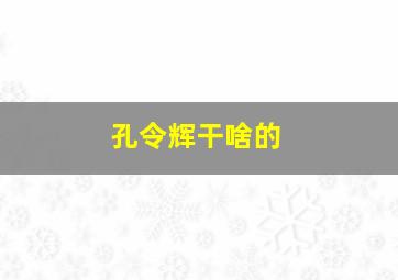 孔令辉干啥的