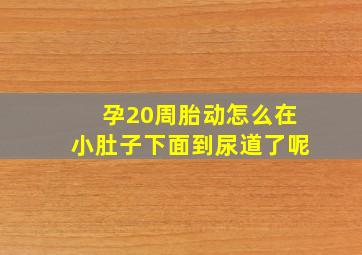 孕20周胎动怎么在小肚子下面到尿道了呢