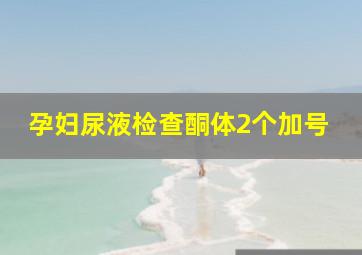 孕妇尿液检查酮体2个加号