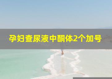 孕妇查尿液中酮体2个加号