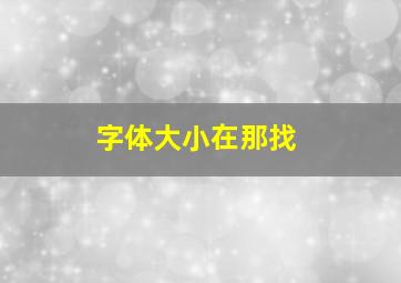 字体大小在那找