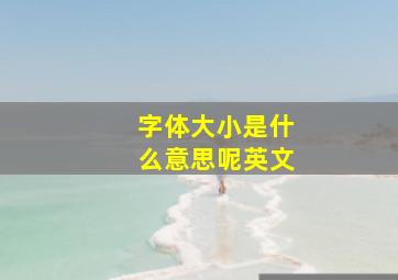 字体大小是什么意思呢英文