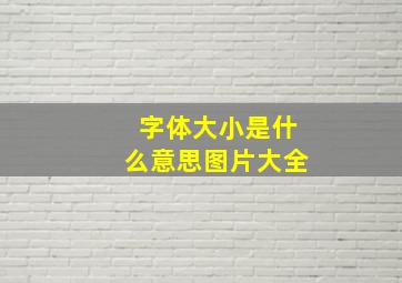 字体大小是什么意思图片大全