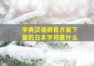 字典汉语拼音方案下面的日本字符是什么