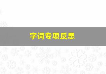 字词专项反思