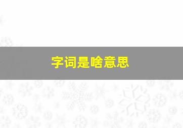 字词是啥意思