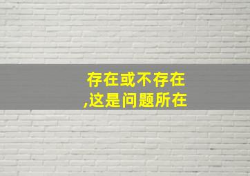 存在或不存在,这是问题所在