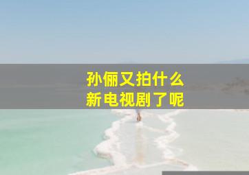 孙俪又拍什么新电视剧了呢