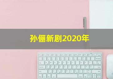 孙俪新剧2020年