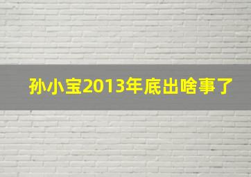 孙小宝2013年底出啥事了