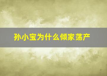 孙小宝为什么倾家荡产