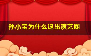 孙小宝为什么退出演艺圈