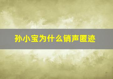 孙小宝为什么销声匿迹