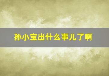 孙小宝出什么事儿了啊