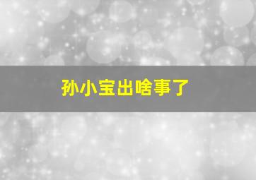 孙小宝出啥事了