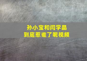 孙小宝和闫学晶到底惹谁了呢视频