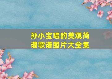 孙小宝唱的美观简谱歌谱图片大全集