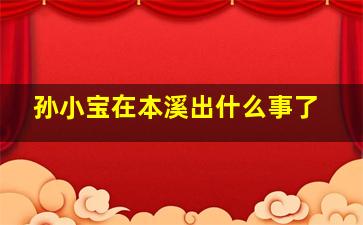 孙小宝在本溪出什么事了