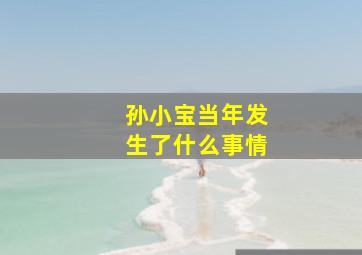 孙小宝当年发生了什么事情