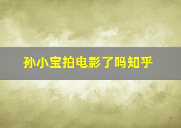 孙小宝拍电影了吗知乎