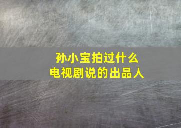 孙小宝拍过什么电视剧说的出品人