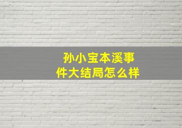 孙小宝本溪事件大结局怎么样