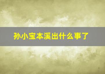 孙小宝本溪出什么事了