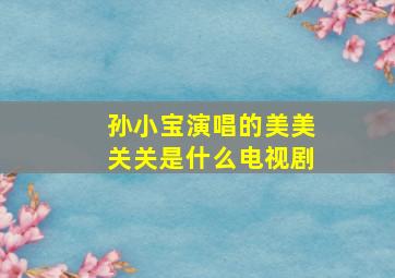 孙小宝演唱的美美关关是什么电视剧